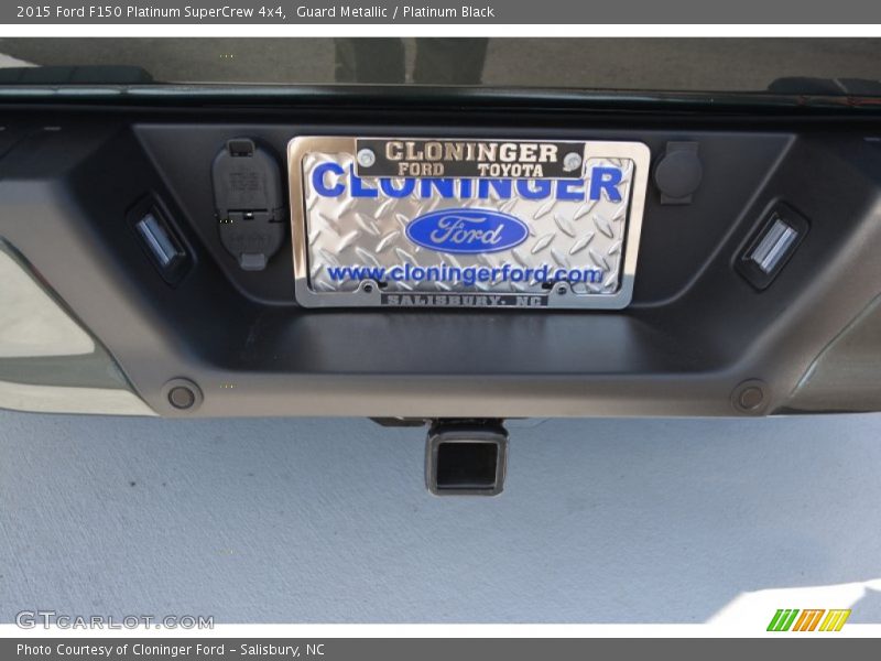 Guard Metallic / Platinum Black 2015 Ford F150 Platinum SuperCrew 4x4