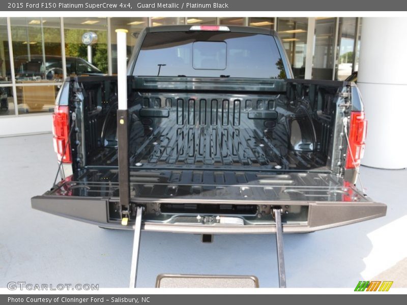 Guard Metallic / Platinum Black 2015 Ford F150 Platinum SuperCrew 4x4