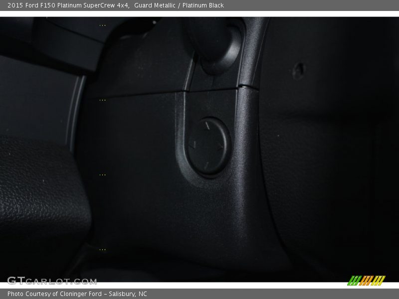Guard Metallic / Platinum Black 2015 Ford F150 Platinum SuperCrew 4x4