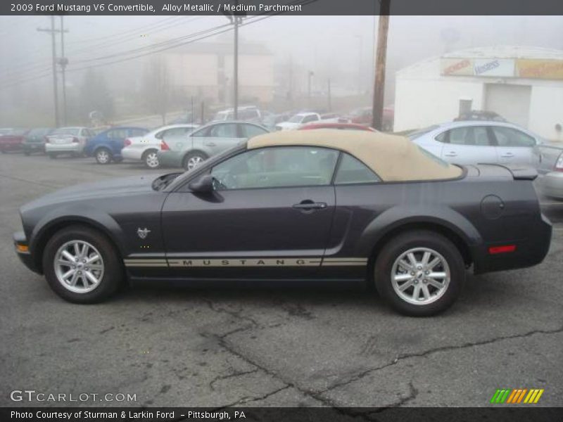 Alloy Metallic / Medium Parchment 2009 Ford Mustang V6 Convertible