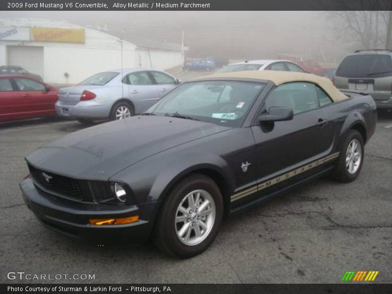 Alloy Metallic / Medium Parchment 2009 Ford Mustang V6 Convertible