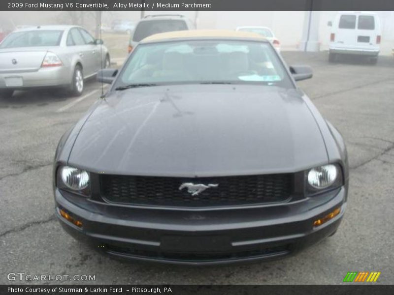 Alloy Metallic / Medium Parchment 2009 Ford Mustang V6 Convertible