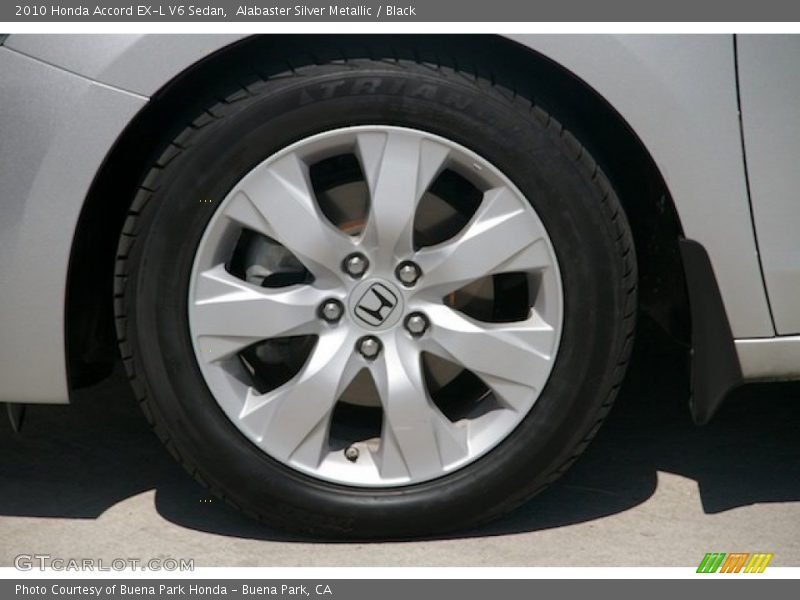 Alabaster Silver Metallic / Black 2010 Honda Accord EX-L V6 Sedan
