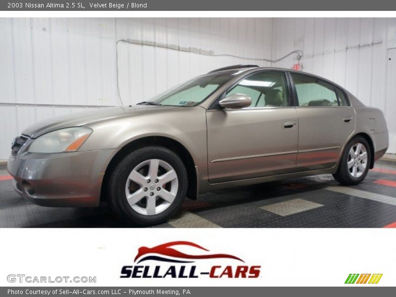 Velvet Beige / Blond 2003 Nissan Altima 2.5 SL