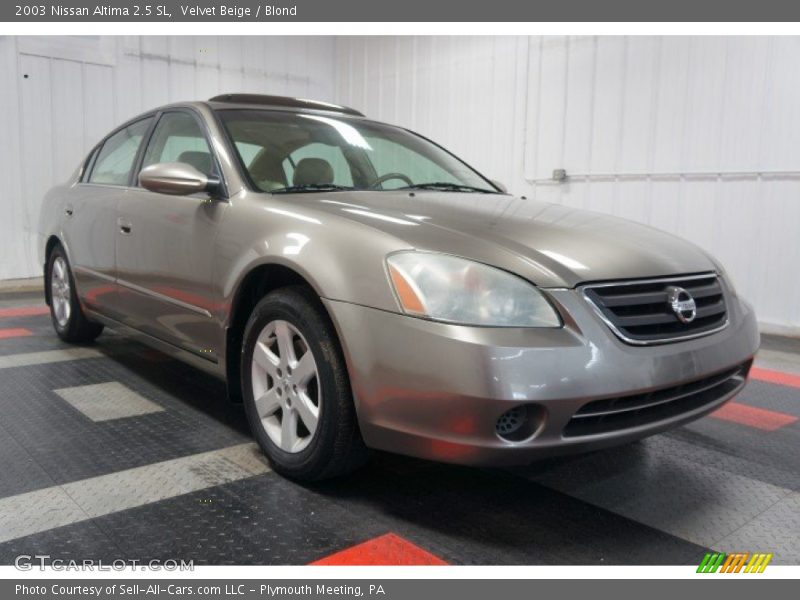 Velvet Beige / Blond 2003 Nissan Altima 2.5 SL