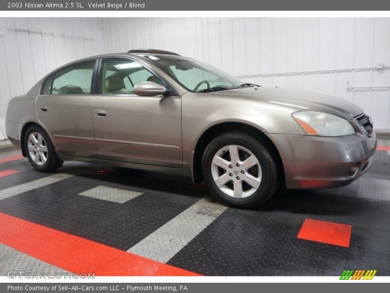 Velvet Beige / Blond 2003 Nissan Altima 2.5 SL