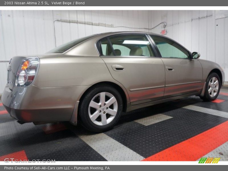 Velvet Beige / Blond 2003 Nissan Altima 2.5 SL