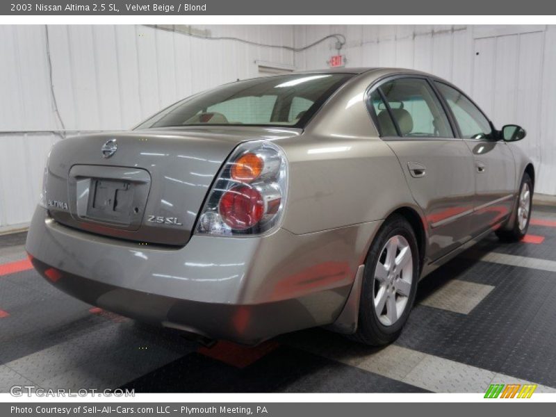 Velvet Beige / Blond 2003 Nissan Altima 2.5 SL