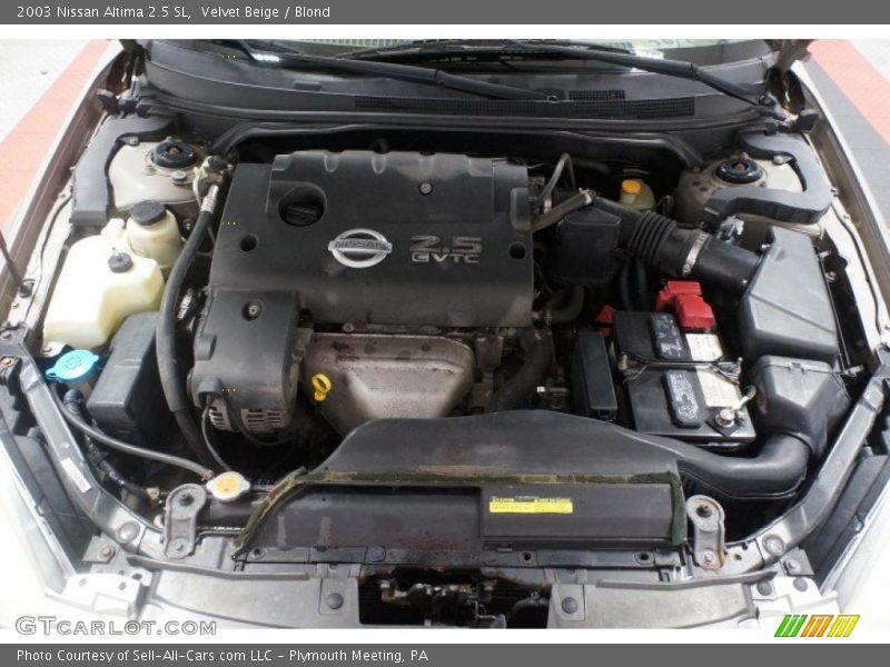 Velvet Beige / Blond 2003 Nissan Altima 2.5 SL