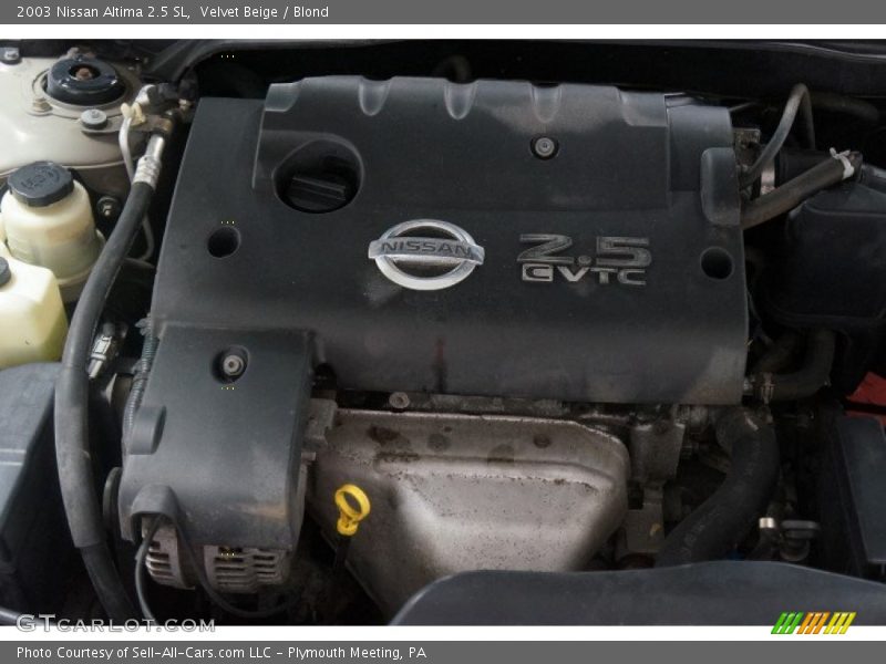 Velvet Beige / Blond 2003 Nissan Altima 2.5 SL