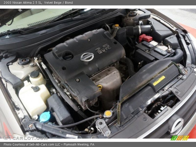 Velvet Beige / Blond 2003 Nissan Altima 2.5 SL
