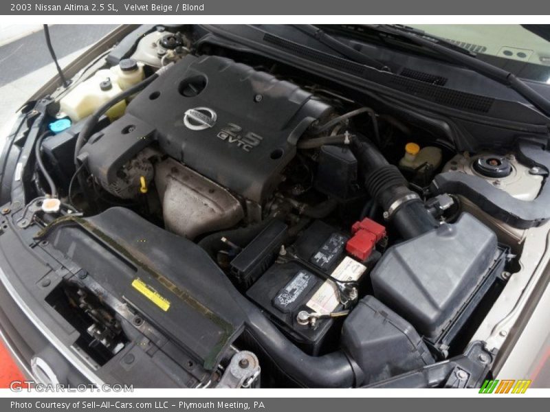 Velvet Beige / Blond 2003 Nissan Altima 2.5 SL