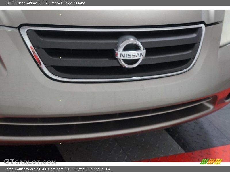 Velvet Beige / Blond 2003 Nissan Altima 2.5 SL