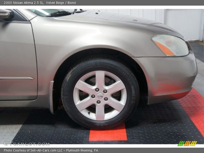 Velvet Beige / Blond 2003 Nissan Altima 2.5 SL