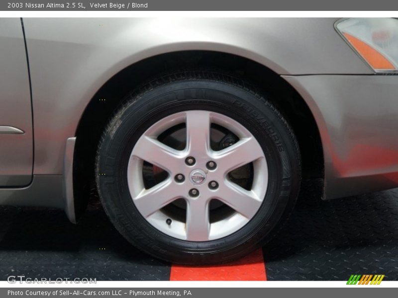 Velvet Beige / Blond 2003 Nissan Altima 2.5 SL