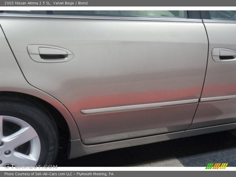 Velvet Beige / Blond 2003 Nissan Altima 2.5 SL