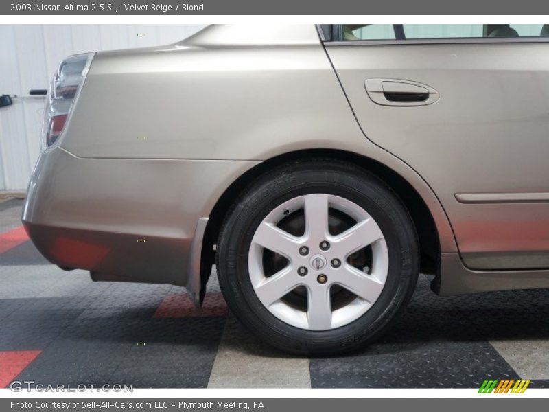 Velvet Beige / Blond 2003 Nissan Altima 2.5 SL