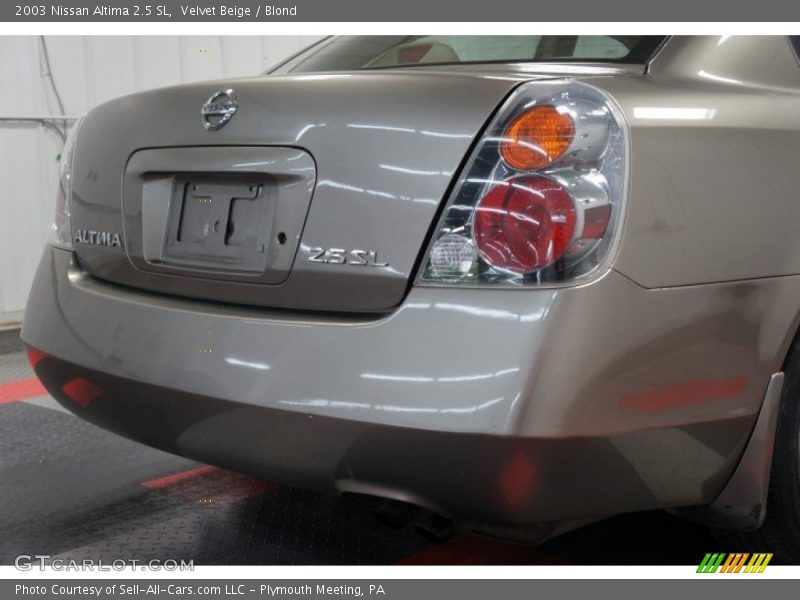 Velvet Beige / Blond 2003 Nissan Altima 2.5 SL
