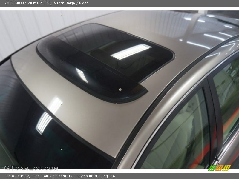 Velvet Beige / Blond 2003 Nissan Altima 2.5 SL