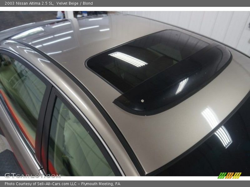 Velvet Beige / Blond 2003 Nissan Altima 2.5 SL