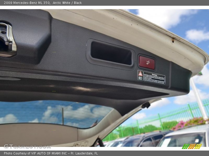 Arctic White / Black 2009 Mercedes-Benz ML 350
