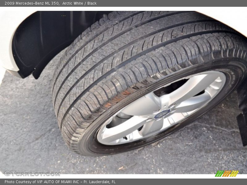 Arctic White / Black 2009 Mercedes-Benz ML 350
