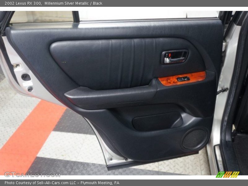 Millennium Silver Metallic / Black 2002 Lexus RX 300