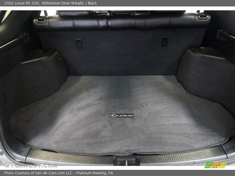 Millennium Silver Metallic / Black 2002 Lexus RX 300