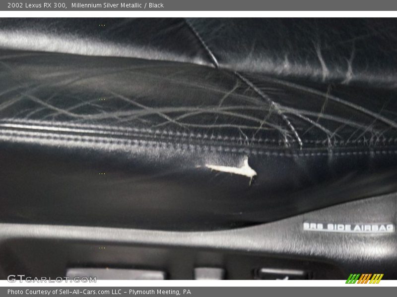 Millennium Silver Metallic / Black 2002 Lexus RX 300