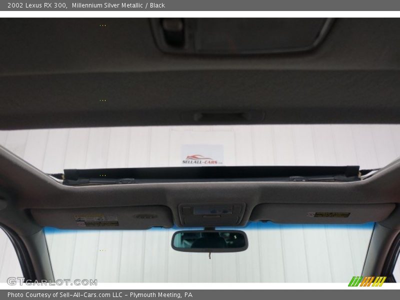 Millennium Silver Metallic / Black 2002 Lexus RX 300