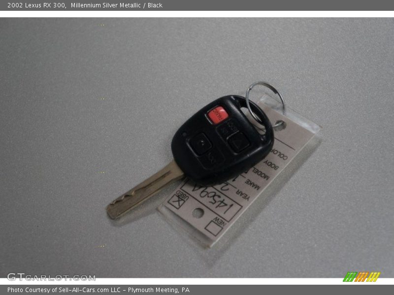 Millennium Silver Metallic / Black 2002 Lexus RX 300
