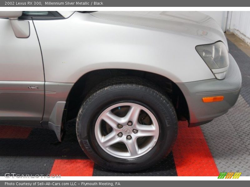 Millennium Silver Metallic / Black 2002 Lexus RX 300