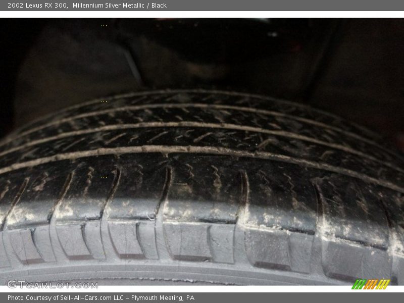 Millennium Silver Metallic / Black 2002 Lexus RX 300