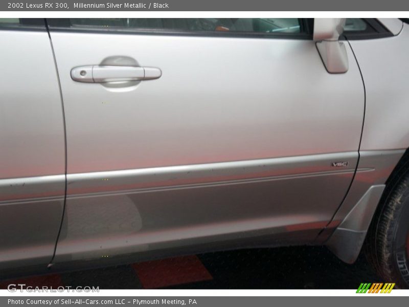 Millennium Silver Metallic / Black 2002 Lexus RX 300