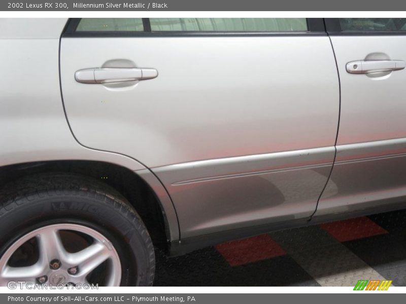 Millennium Silver Metallic / Black 2002 Lexus RX 300