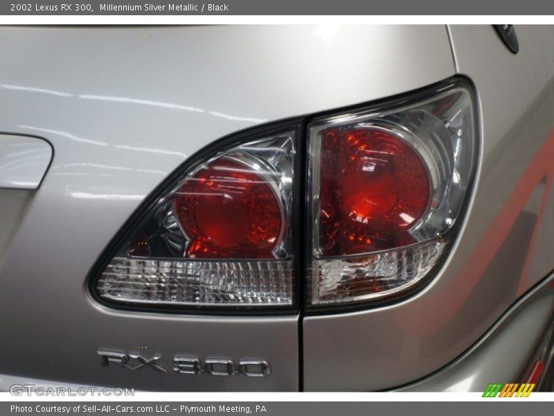 Millennium Silver Metallic / Black 2002 Lexus RX 300