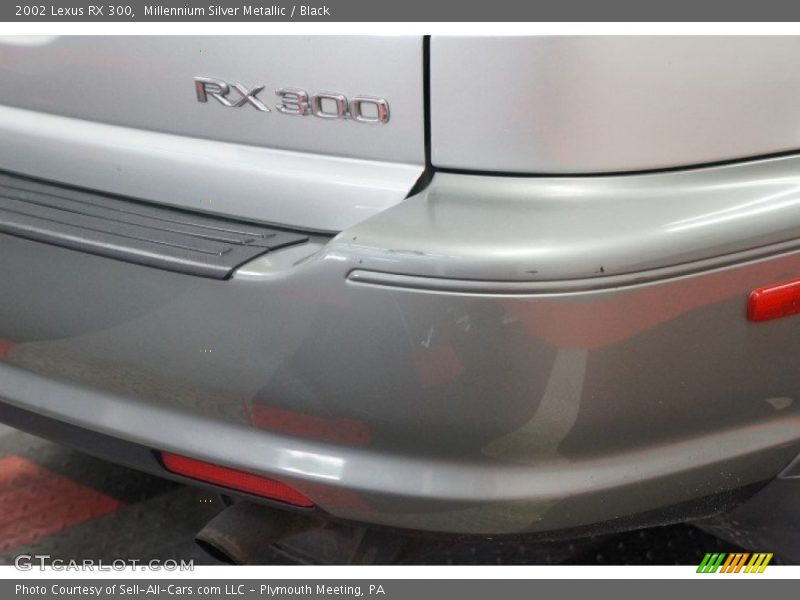 Millennium Silver Metallic / Black 2002 Lexus RX 300