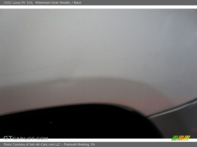 Millennium Silver Metallic / Black 2002 Lexus RX 300