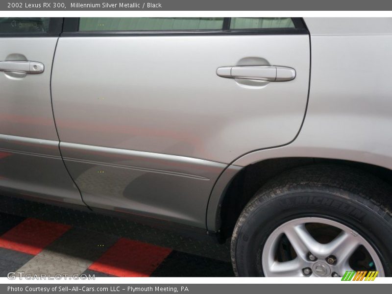 Millennium Silver Metallic / Black 2002 Lexus RX 300