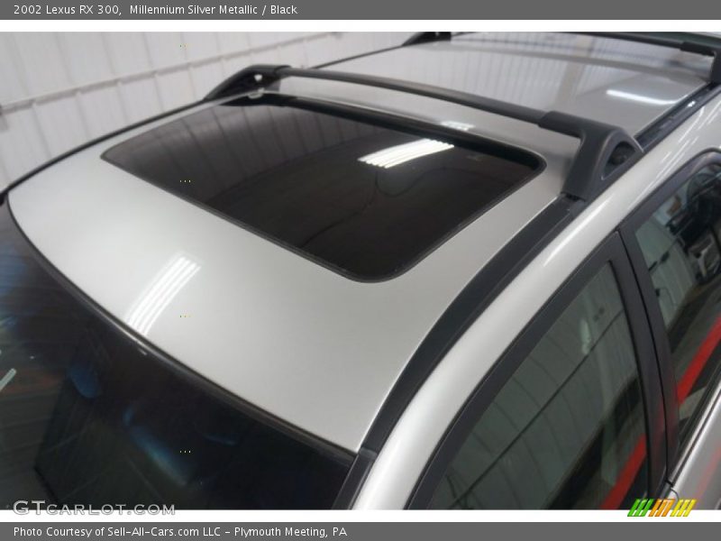 Millennium Silver Metallic / Black 2002 Lexus RX 300