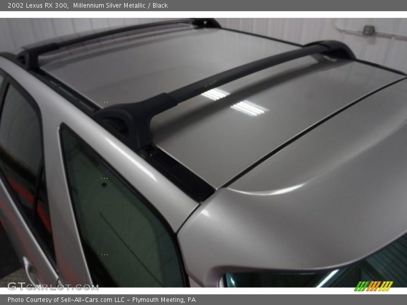 Millennium Silver Metallic / Black 2002 Lexus RX 300