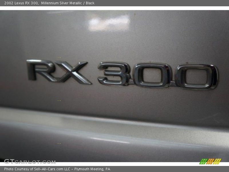 Millennium Silver Metallic / Black 2002 Lexus RX 300
