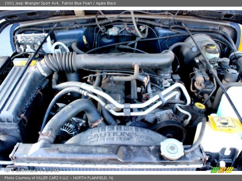 Patriot Blue Pearl / Agate Black 2001 Jeep Wrangler Sport 4x4