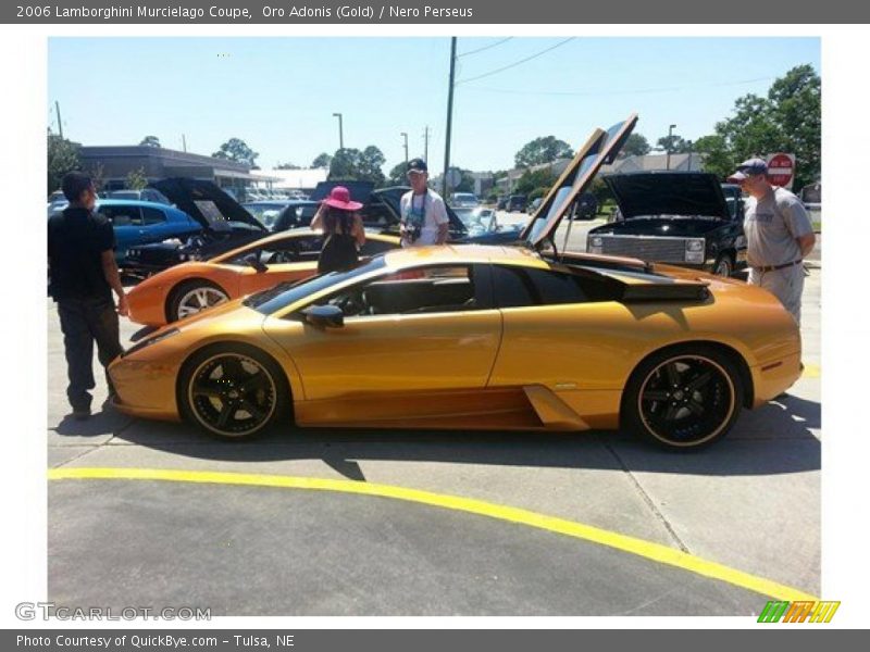 Oro Adonis (Gold) / Nero Perseus 2006 Lamborghini Murcielago Coupe