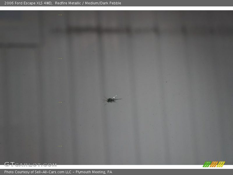 Redfire Metallic / Medium/Dark Pebble 2006 Ford Escape XLS 4WD