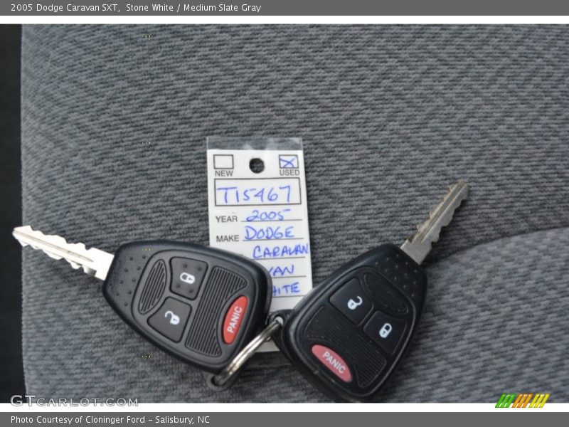 Stone White / Medium Slate Gray 2005 Dodge Caravan SXT