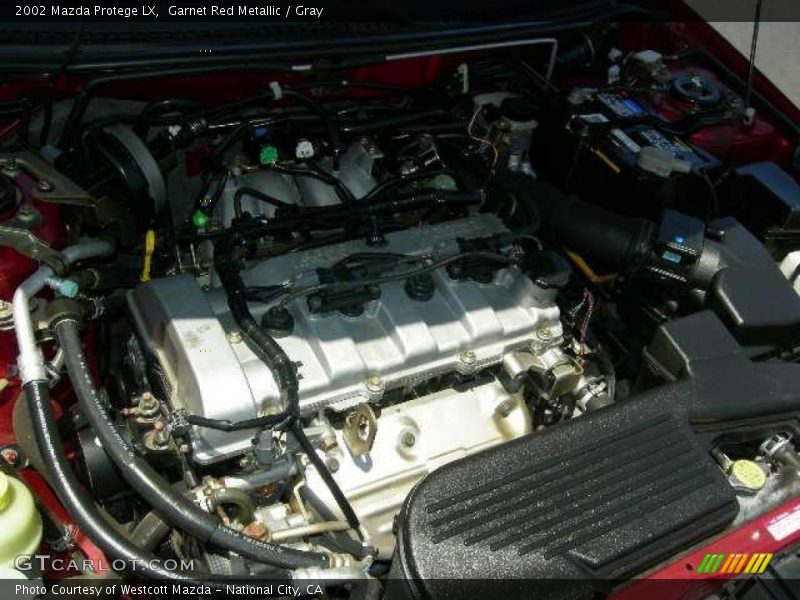 Garnet Red Metallic / Gray 2002 Mazda Protege LX
