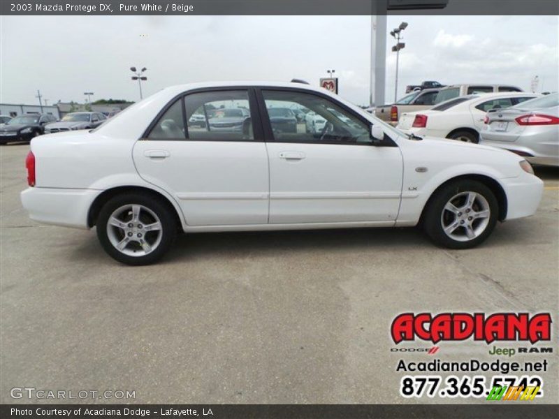 Pure White / Beige 2003 Mazda Protege DX