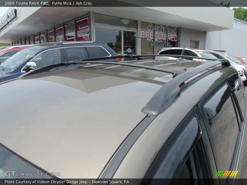 Pyrite Mica / Ash Gray 2009 Toyota RAV4 4WD