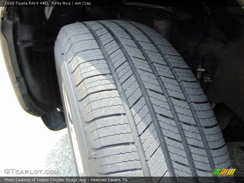 Pyrite Mica / Ash Gray 2009 Toyota RAV4 4WD